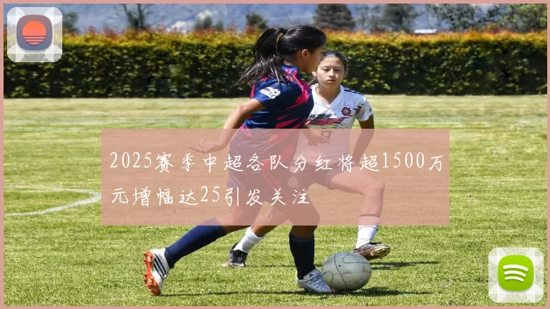 2025赛季中超各队分红将超1500万元增幅达25引发关注